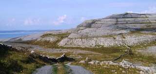 Дома для отпуска Roadside Cottage The Burren Kilfenora Дом с 2 спальнями-19