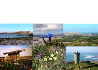 Дома для отпуска Roadside Cottage The Burren Kilfenora Дом с 2 спальнями-22