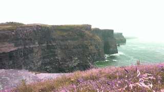 Дома для отпуска Roadside Cottage The Burren Kilfenora Дом с 2 спальнями-8