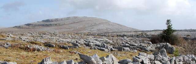 Дома для отпуска Roadside Cottage The Burren Kilfenora-45