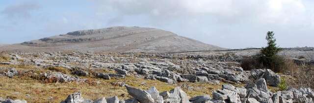 Дома для отпуска Roadside Cottage The Burren Kilfenora-8